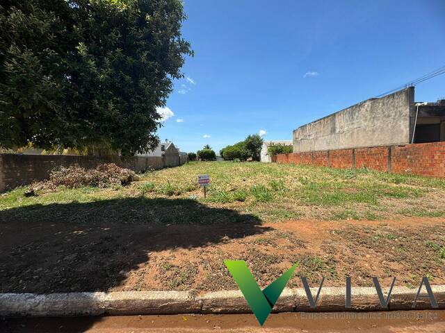 #1127 - Área para Venda em Lucas do Rio Verde - MT - 1