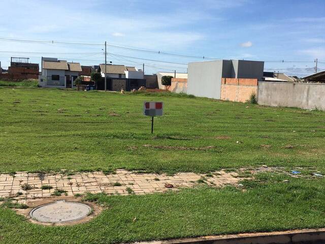 #1254 - Área para Venda em Lucas do Rio Verde - MT