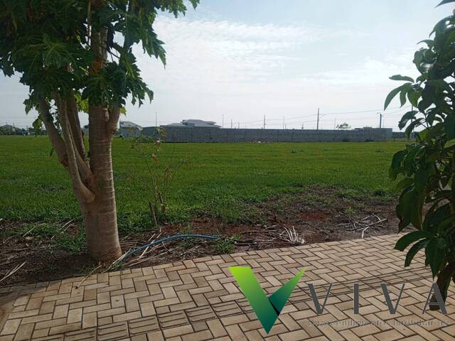 #1291 - Terreno para Venda em Lucas do Rio Verde - MT