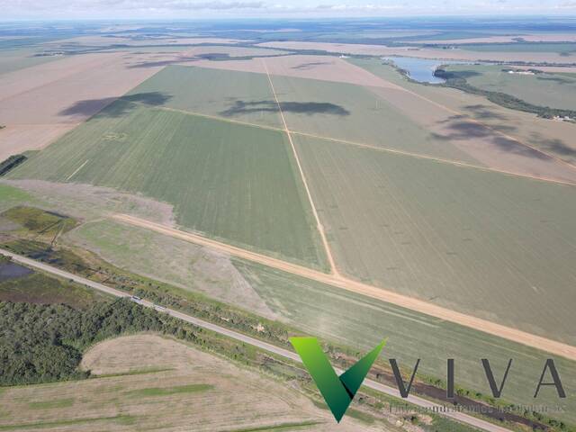 #1454 - Fazenda para Venda em Lucas do Rio Verde - MT