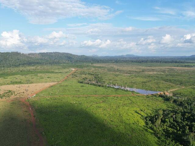 #1460 - Fazenda para Venda em Lucas do Rio Verde - MT