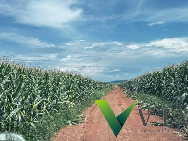 #1518 - Chácara para Venda em Lucas do Rio Verde - MT